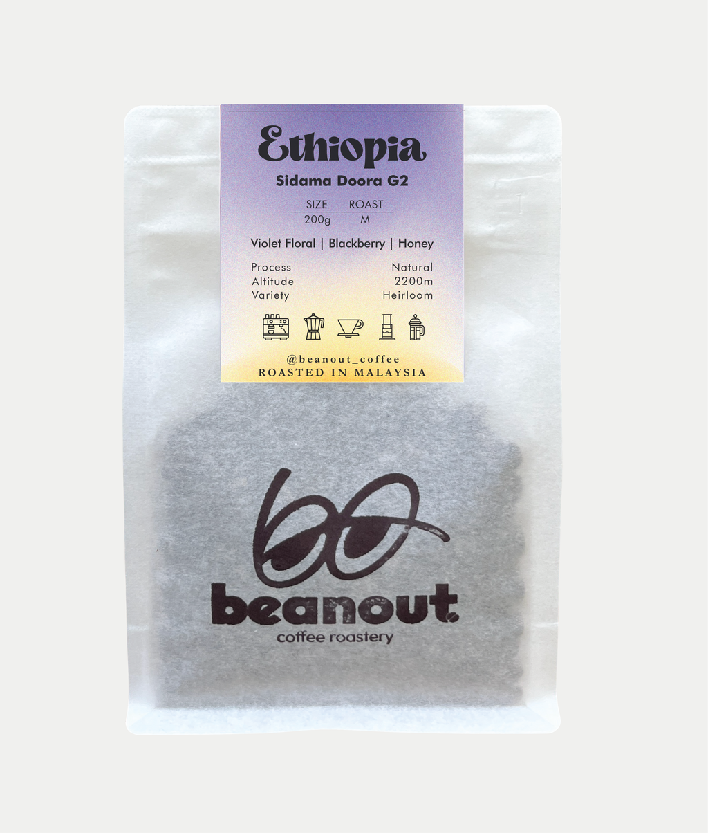 Ethiopia Sidama Doora G2