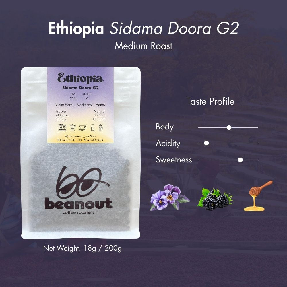 Ethiopia Sidama Doora G2