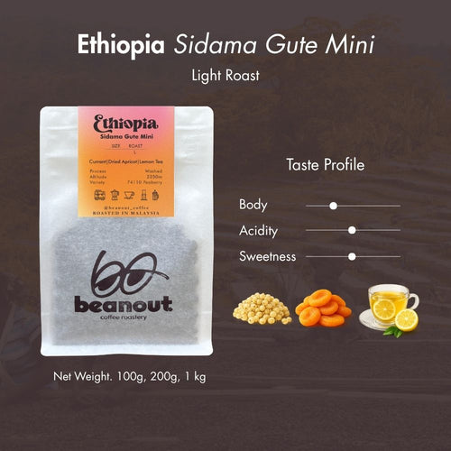 Ethiopia Sidama Gute Mini