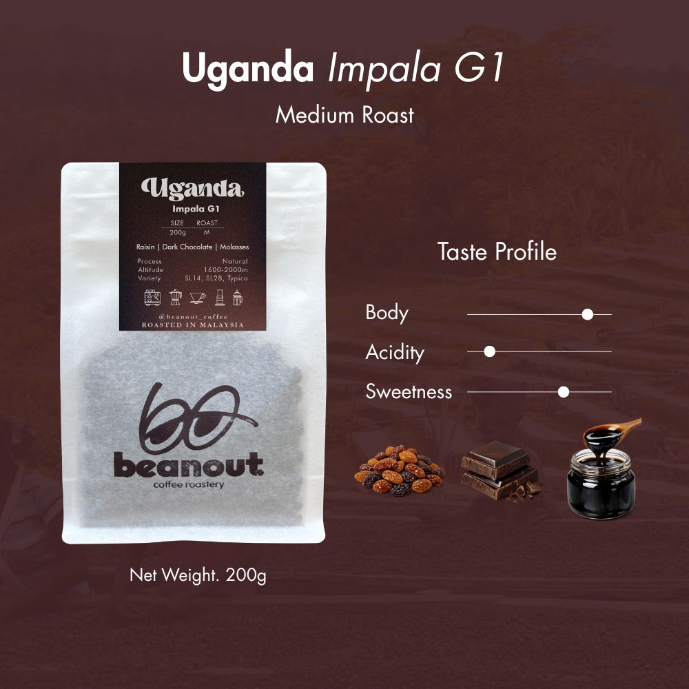Uganda Impala G1